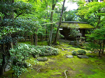 妙心寺で日本のワイン まさきこ ドットコム