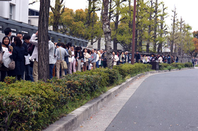 DSC08972.jpg