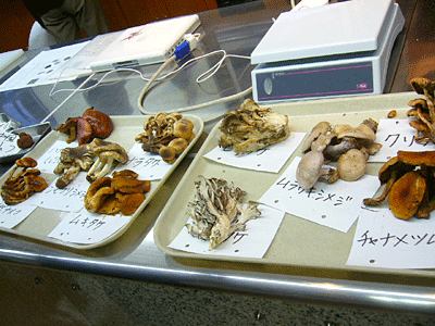 P1020094.gif