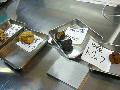 P1020097.gif
