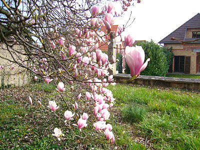 P1050743.jpg