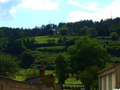 P1070301.jpg