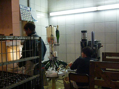 P1100648.jpg