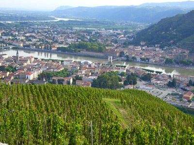 P1100823.jpg