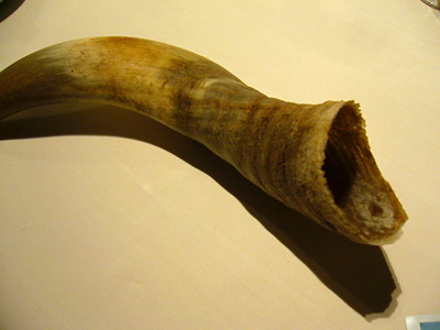 P1120229.jpg